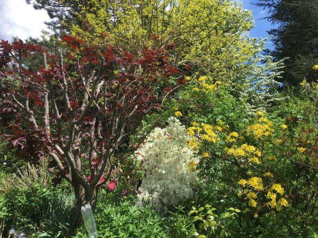 Immobilie in Wernersdorf - Luxuriöses Landhaus mit Indoor Pool und 3500m² Garten in der Weststeiermark zu verkaufen! - Bild 4