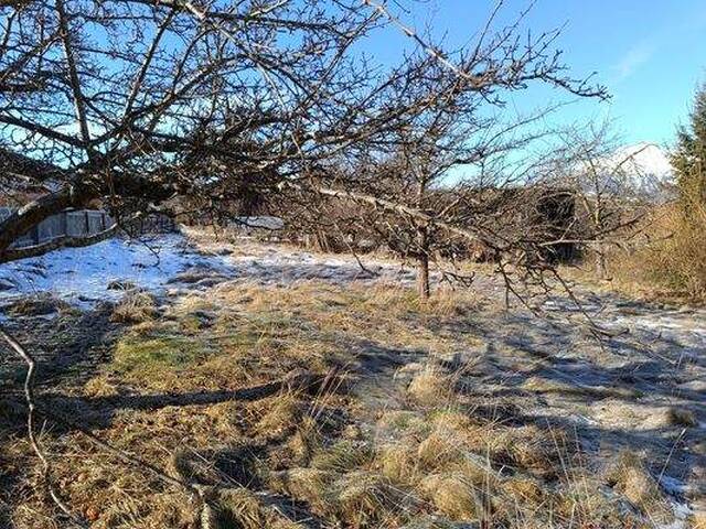 Immobilie in Rinn - Selten!! Zweifamilienhaus ideal auch für Praxis, in Rinn, mit 1800 qm großen Grundstück!!Das Grundstück kann auch in 2 Parzellen geteilt werden. - Bild 3