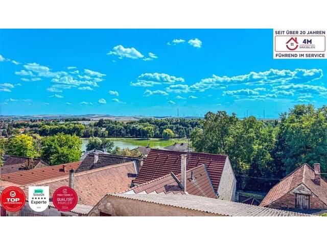 Immobilie in Katzelsdorf - ALL IN ONE ** EFH mit 7 Zimmern und Panoramablick + Gasthaus/Speisesaal + Lokal (ca. 400m² Wohn/Nutzfläche zzgl. Garten) - Bild 1