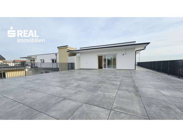 Immobilie in Unterpremstätten - Penthouse: Sonnige 4-Zimmer-Wohnung in 8141 Unterpremstätten mit ca. 149 m² großer Terrasse und zwei Parkplätzen - Bild 0