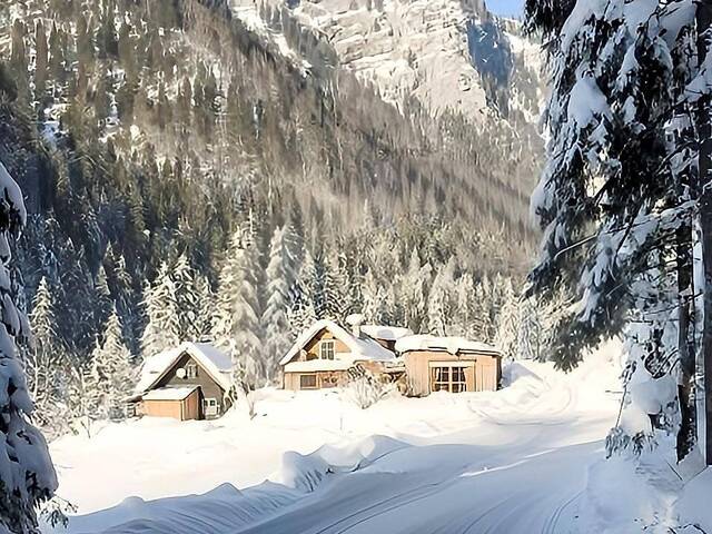 Immobilie in Gosau - Sonnengeküsstes Waldhaus in Gosau – Rückzugsort in traumhafter Natur - Bild 0