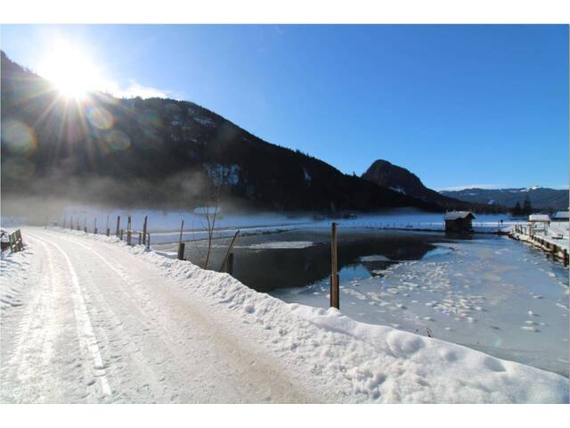 Immobilie in Gosau - Sonnengeküsstes Waldhaus in Gosau – Rückzugsort in traumhafter Natur - Bild 2