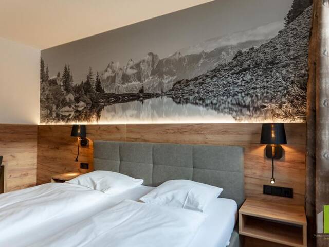 Immobilie in Schladming - Drei Wohneinheiten mit Potenzial in Schladming - Bild 1