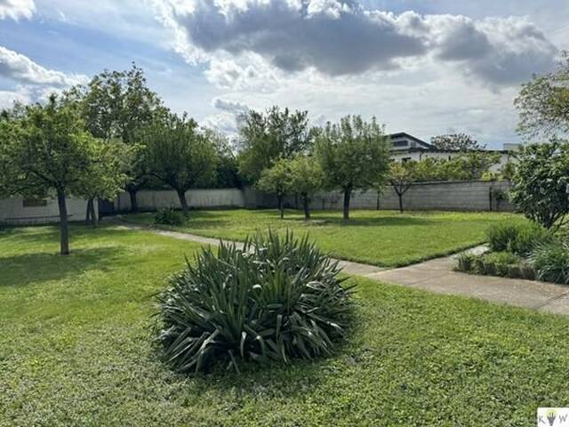 Immobilie in Gols - REDUZIERT! Ideales Wohnhaus mit großem sonnigen Grund für Sie und Ihre Familie! - Bild 3