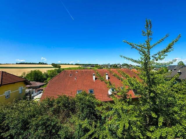 Immobilie in Weißkirchen - TOP-Stadtrandlage: Wohnen & Arbeiten mit vielfältigen Nutzungsmöglichkeiten! - Bild 1