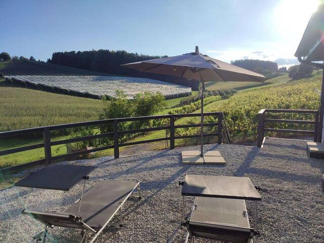 Immobilie in Nestelbach bei Graz - Neubau Bungalow mit wunderschönem Aussicht - Bild 1