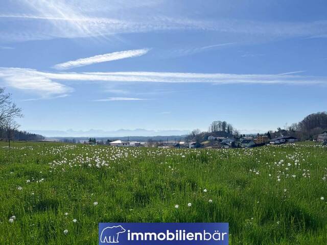 Immobilie in Eggelsberg - Traumhafter Bergblick- 4 Zimmer Wohnung in ruhiger Lage - Ibm - Bild 1