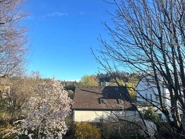 Immobilie in Wels - STADTVILLA zum Revitalisieren in BESTLAGE (Volksgartenstraße/Kolpingstraße) - Bild 1