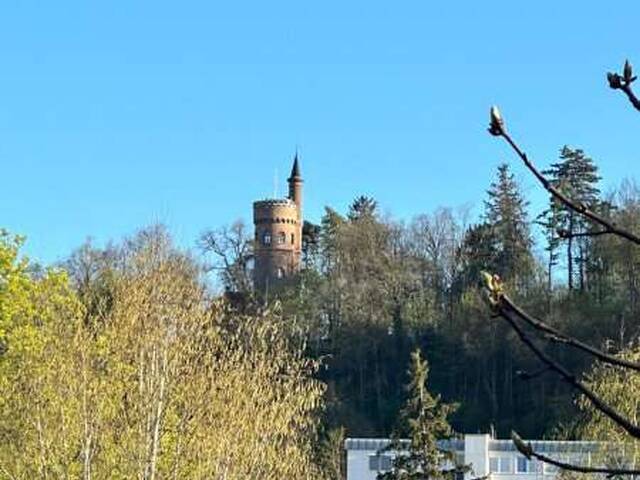 Immobilie in Wels - STADTVILLA zum Revitalisieren in BESTLAGE (Volksgartenstraße/Kolpingstraße) - Bild 2