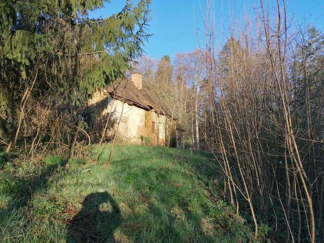 Immobilie in St. Nikolai im Sausal - Altbestand - Wohnhaus mit Lagerräumen und Wirtschaftsgebäude - Bild 2