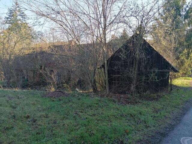 Immobilie in St. Nikolai im Sausal - Altbestand - Wohnhaus mit Lagerräumen und Wirtschaftsgebäude - Bild 3