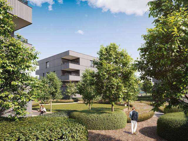 Immobilie in Höchst - Stilvoll & kompakt – Ihr neues Zuhause wartet! 2 Zimmer Terrassenwohnung - Bild 2
