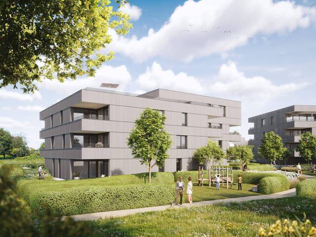 Immobilie in Höchst - Stilvoll & kompakt – Ihr neues Zuhause wartet! 2 Zimmer Terrassenwohnung - Bild 4