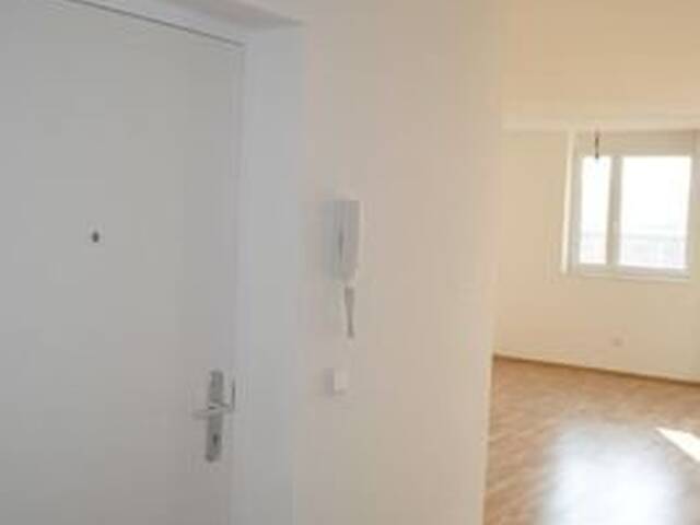 Immobilie in Hankenfeld - Exklusive, sonnige Garten-Wohnung! 2 Autoabstellplätze! Neubau! - Bild 4