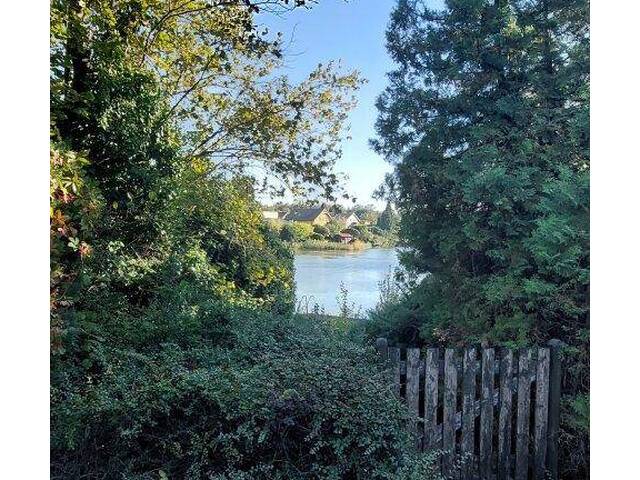 Immobilie in Steinbrunn - Preishit für ein RiesenGrundstück am See !! - Bild 3
