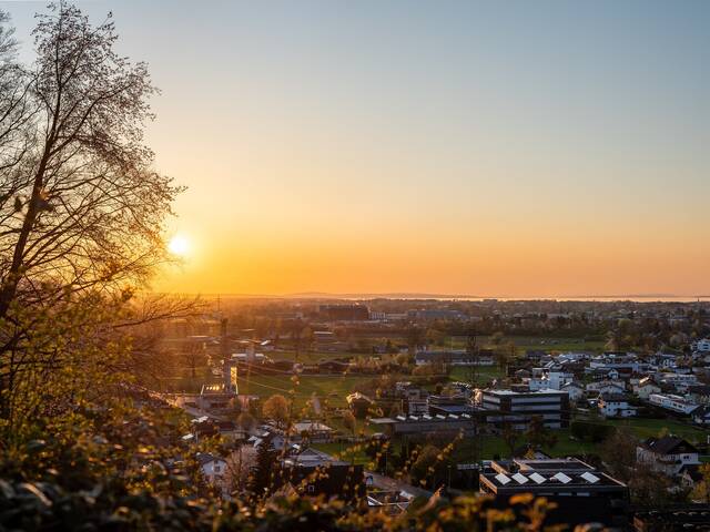Immobilie in Wolfurt - 3 Wohnträume -1 Panorama. 4-Zimmer-Gartenwohnung W01 - Bild 4