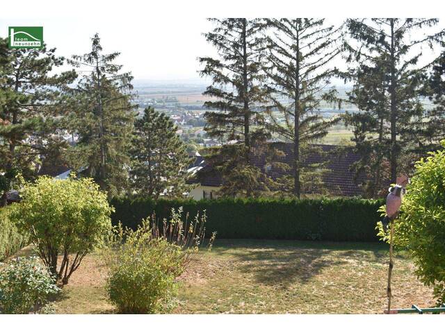 Immobilie in Großhöflein - Einfamilienhaus-Fernsicht, Traumlage, 4 Zimmer + ausgebautem Wohnkeller in Großhöflein! - JETZT ZUSCHLAGEN - Bild 3