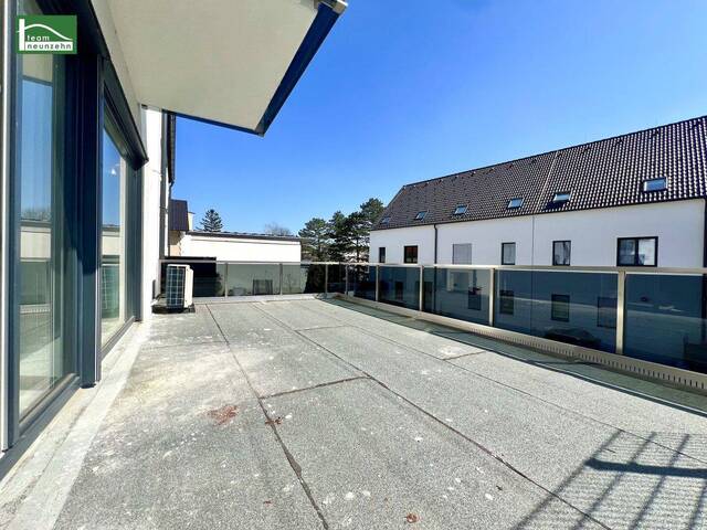 Immobilie in Achau - Erstbezug, Ziegelmassiv-Bauweise, 3-Schichtverglasung, Luftwärmepumpe, Stellplätze, S-Bahn 5 Minuten entfernt - JETZT ANFRAGEN - Bild 0