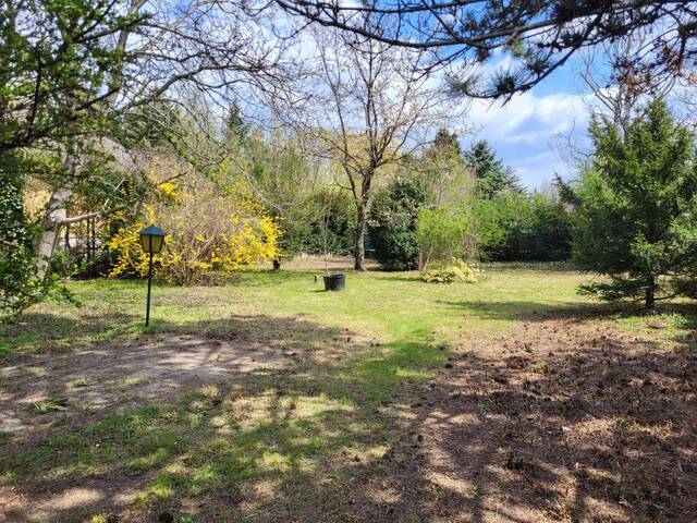 Immobilie in Katzelsdorf - SOLIDER BUNGALOW MIT GUTER ANBINDUNG UND GROSSZÜGIGEM GARTEN IM SÜDEN VON WIENER NEUSTADT - Bild 1