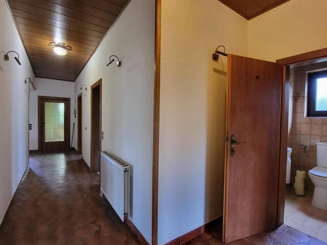 Immobilie in Katzelsdorf - SOLIDER BUNGALOW MIT GUTER ANBINDUNG UND GROSSZÜGIGEM GARTEN IM SÜDEN VON WIENER NEUSTADT - Bild 4