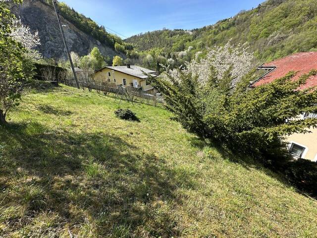 Immobilie in Forchtenstein - sehr gepflegtes Wohnhaus mit traumhaftem Blick auf die Burg - Bild 4