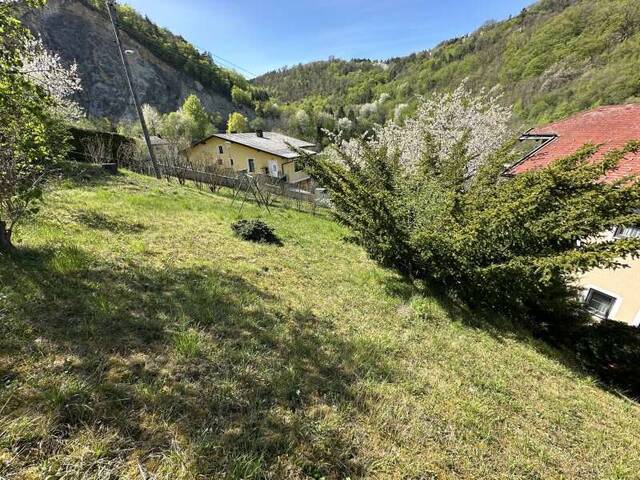 Immobilie in Forchtenstein - Sehr gepflegtes Wohnhaus mit traumhaftem Blick auf die Burg - Bild 4