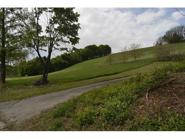 Immobilie in Jennersdorf - Renovierter Dreikanthof in absoluter Ruhelage! - Bild 1