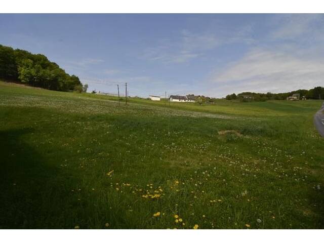 Immobilie in Jennersdorf - Renovierter Dreikanthof in absoluter Ruhelage! - Bild 2