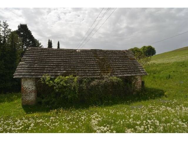 Immobilie in Jennersdorf - Renovierter Dreikanthof in absoluter Ruhelage! - Bild 3