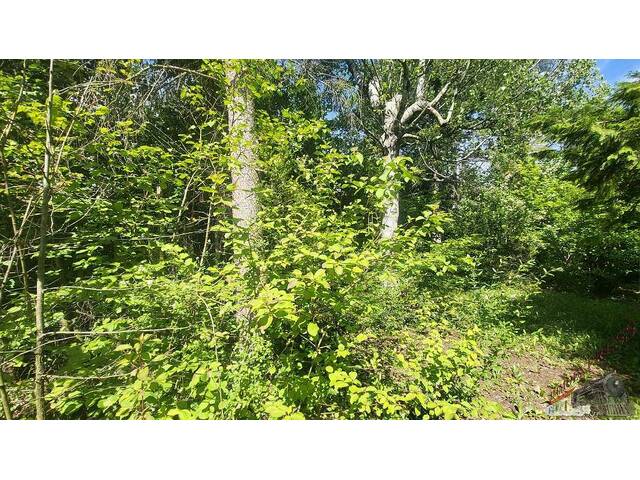 Immobilie in Muthmannsdorf - 2723 Muthmannsdorf - Bungalow in idyllische Grünruhelage - Bild 1