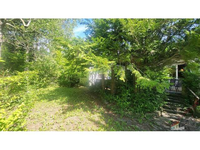 Immobilie in Muthmannsdorf - 2723 Muthmannsdorf - Bungalow in idyllische Grünruhelage - Bild 2