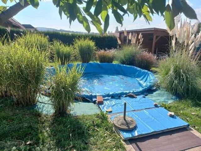 Immobilie in Raschala - ANLAGEOBJEKT IN HOLLABRUNN!! - Bild 3