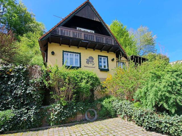 Immobilie in Eschenau - Koffer Packen und einziehen! Klein & Fein! - Bild 0