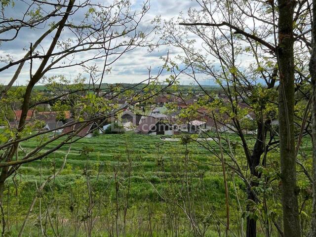 Immobilie in Reintal - Verborgener Schatz im Reintal - ein Weinviertler Wohnjuwel mit Potenzial - Bild 0