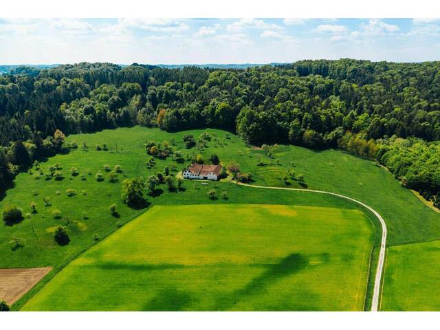 Immobilie in Ilz - Vierkanter-Rarität - ca. 16 Hektar Landwirtschaft mit Teich in Ilz in der Oststeiermark - Schmuckstück zum Wachküssen! - Bild 4