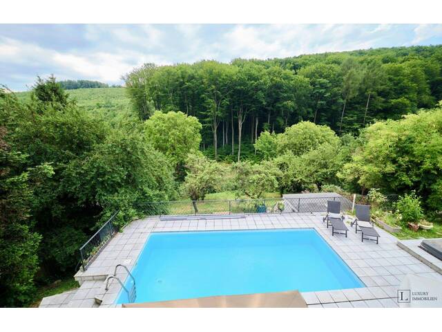 Immobilie in Weidlingbach - Projektgrundstück mit Aussicht in Weidlingbach // Idealer Grundriss & Dachausbau möglich - Bild 2