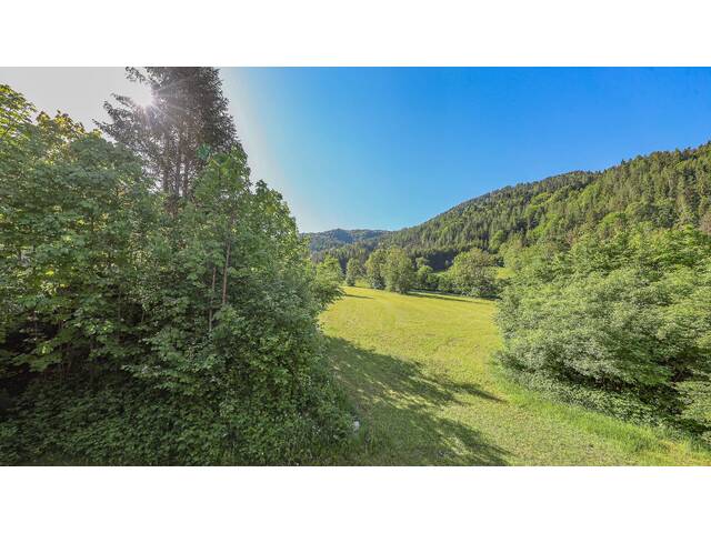 Immobilie in Erpfendorf - Historisches Bauernhaus in Grün-Ruhelage - Bild 4