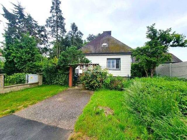 Immobilie in Sierndorf - ROHDIAMANT in IDYLLISCHER Sackgassenlage, Grünblick und südseitig ausgerichteten Garten - Bild 1