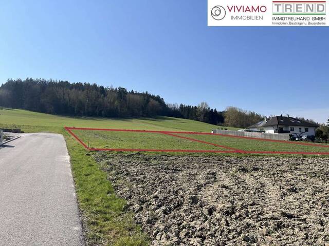 Immobilie in Kematen am Innbach - Wohnprojekt Blumenweg TOP 2: Leistbare Doppelhaushälften in Kematen am Innbach! - Bild 2