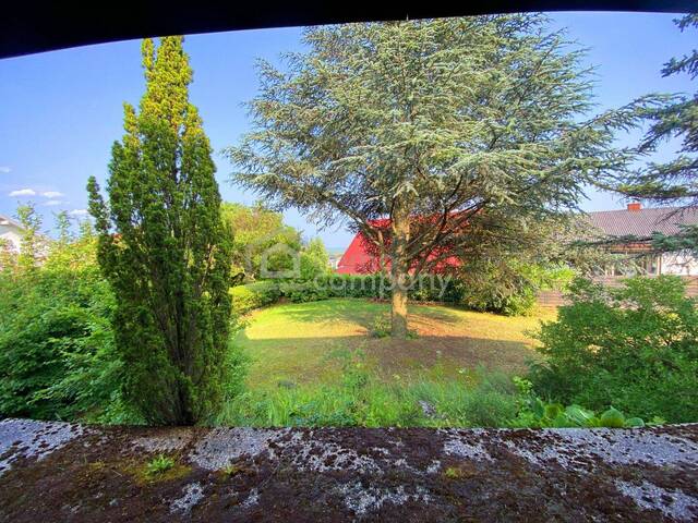 Immobilie in Purbach am Neusiedler See - Ein Chalet zum Verlieben -Neusiedlersee-Blick - Bild 1