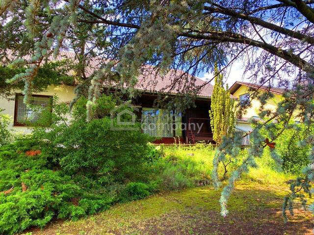 Immobilie in Purbach am Neusiedler See - Ein Chalet zum Verlieben -Neusiedlersee-Blick - Bild 2