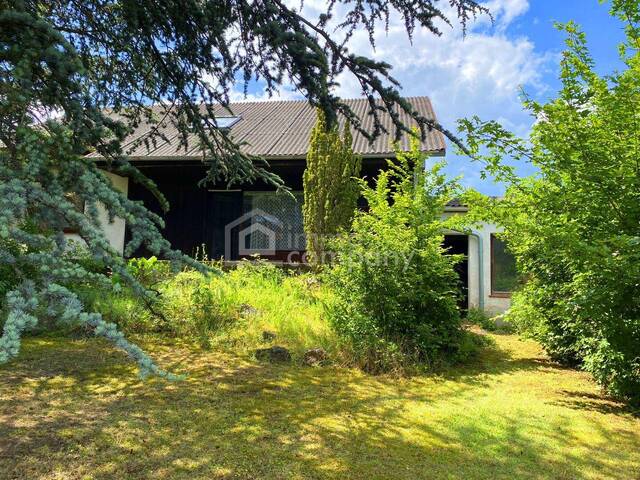 Immobilie in Purbach am Neusiedler See - Ein Chalet zum Verlieben -Neusiedlersee-Blick - Bild 3