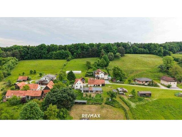 Immobilie in Hofstätten an der Raab - Haus mit Pool & Kleinlandwirtschaft inkl. Bauland, Freiland & Wald in idyllischer Lage! - Bild 2