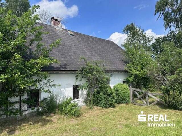 Immobilie in Dorf Leopoldschlag - Haus mit Stadl in 4262 Hiltschen/Leopoldschlag - Alleinlage - Bild 1