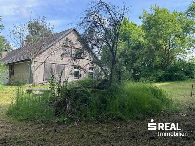 Immobilie in Dorf Leopoldschlag - Haus mit Stadl in 4262 Hiltschen/Leopoldschlag - Alleinlage - Bild 2