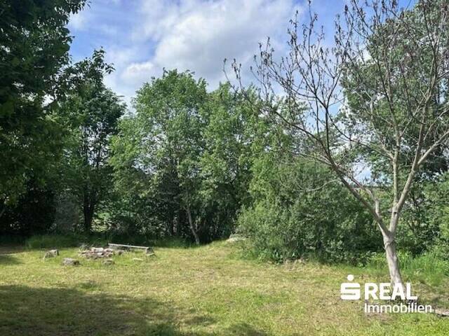 Immobilie in Dorf Leopoldschlag - Haus mit Stadl in 4262 Hiltschen/Leopoldschlag - Alleinlage - Bild 3