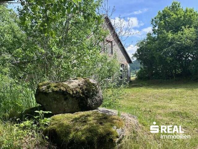 Immobilie in Dorf Leopoldschlag - Haus mit Stadl in 4262 Hiltschen/Leopoldschlag - Alleinlage - Bild 4