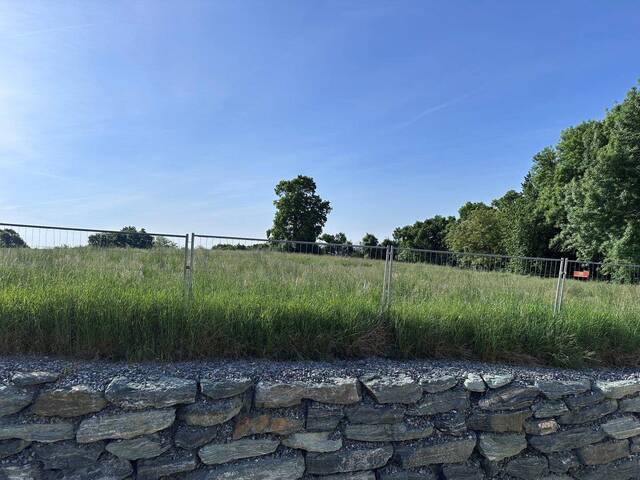 Immobilie in Großpetersdorf - Wohnen mit Zukunft! Familienfreundliche Einfamilienhäuser mit Eigengarten in Großpetersdorf - Bild 2