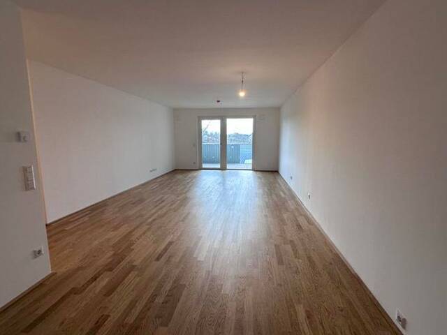 Immobilie in Lanzendorf - einen Katzensprung von Wien entfernt - Bild 2