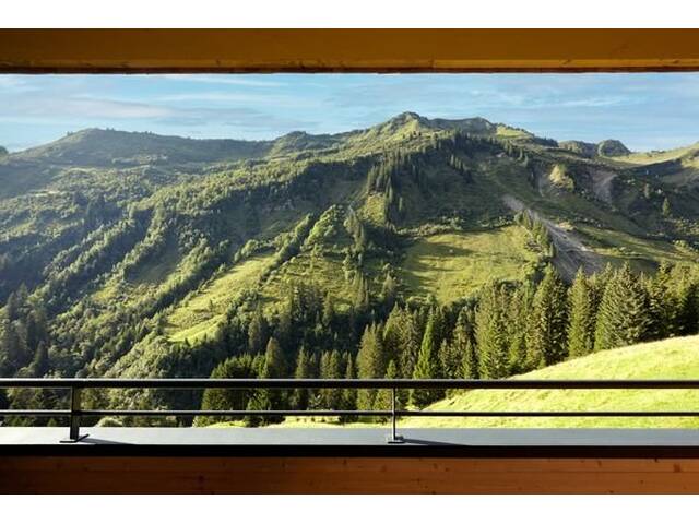 Immobilie in Damüls - Eine der letzten Ferienwohnungen direkt am Skilift Oberdamüls App. 4.02 - Bild 4